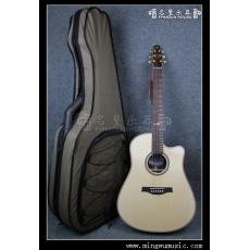 Seagull Artist Studio CW Q with DLX TRIC