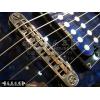 Schecter C-1 Exotic Star