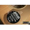 Fender KINGMAN SCE