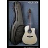 Seagull Artist Studio CW Q with DLX TRIC
