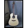 Seagull Artist Studio CW Q with DLX TRIC