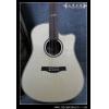 Seagull Artist Studio CW Q with DLX TRIC