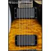 Schecter Hellraiser Special Solo-6