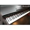 Roland RP301R  RW/SB