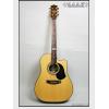Maton TE1