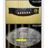 Maton TE1