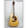 Maton ECW80C