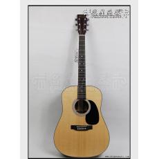 Martin D-1GT