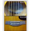 Seagull Entourage Rustic Mini Jumbo Q