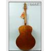 Seagull Entourage Rustic Mini Jumbo Q