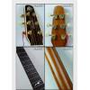 Seagull Artist Peppino Signature Cutaway Q
