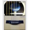 Seagull Artist Peppino Signature Cutaway Q