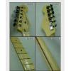 Fender 011-3102-700 AMERICAN STANDARD STRATOCASTER