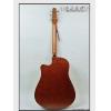Seagull Coastline S6 Slim CW Spruce Q