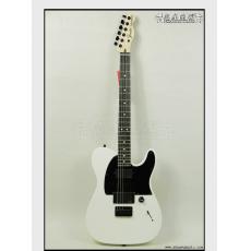 Fender 013-4444-780 JIM ROOT TELECASTER