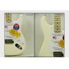 Fender 011-7602-805 ERIC CLAPTON STRATOCASTER