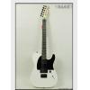 Fender 013-4444-780 JIM ROOT TELECASTER