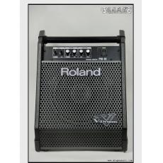 Roland PM-10