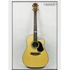 Maton TE1APMIC棩