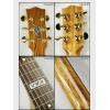 Maton TE1APMIC棩