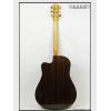 Maton TE1APMIC棩