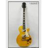 Epiphone Les Paul Standard Plus top PRO (AN)