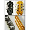 Epiphone Les Paul Standard Plus top PRO (AN)