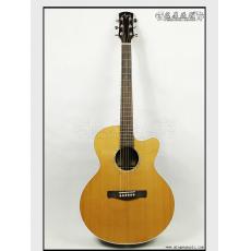 Ayers SJ-01C