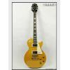 Epiphone Les Paul Standard(MG)