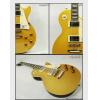 Epiphone Les Paul Standard(MG)