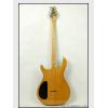 Carvin CT624M - Neil Zaza