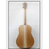 Maton S60