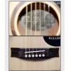 Maton S60