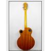 Epiphone Wildkat (AN)
