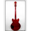 Epiphone Ultra-339 (CH)