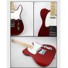 Fender 014-5102-509 STANDARD TELECASTER