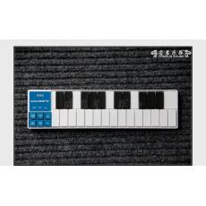 Korg Nano