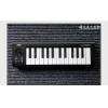 Korg microKEY 25