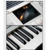 Korg M3 61ؼۣ