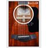 Taylor 524E