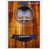 Taylor K26CE Expression System 2