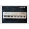 Roland MP-100 WH ɫ (֧)