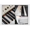 Roland MP-100 WH ɫ (֧)