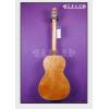 Seagull Entourage Rustic Grand