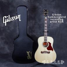 Gibson hummingbird recording artist KOA (ȫ50֧)