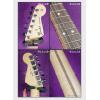 Fender 014-0080-550 STANDARD STRATOCASTER HSS SWIRL