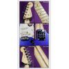 Fender 011-3102-795 AMERICAN STANDARD STRATOCASTER