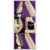 Fender 011-3202-721 AMERICAN STANDARD TELECASTER