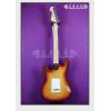 Fender 011-3100-747 AMERICAN STANDARD STRATOCASTER HSS
