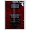 Schecter Damien Elite-6 FR CRB ӡ